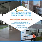 vacature handige harrie